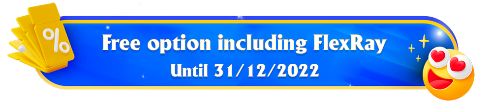 Free option including FlexRay