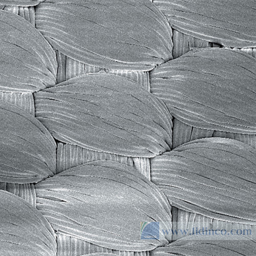 Vải đánh bóng mẫu – Sợi dệt – Plan Cloth