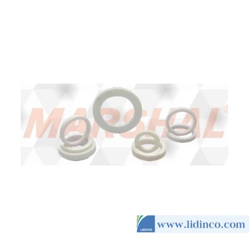 Stationary Seals Marshal Ceramic Face